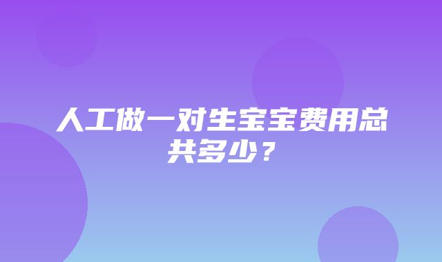 人工做一对生宝宝费用总共多少？