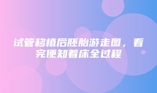 试管移植后胚胎游走图，看完便知着床全过程