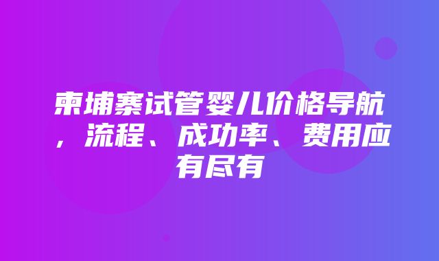 柬埔寨试管婴儿价格导航，流程、成功率、费用应有尽有