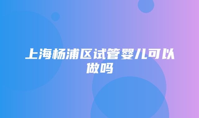 上海杨浦区试管婴儿可以做吗