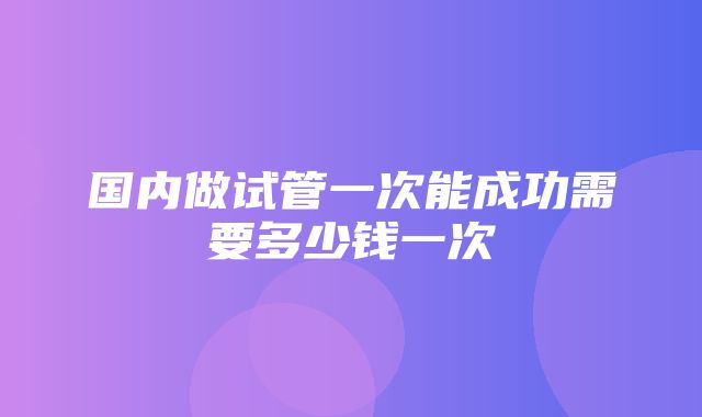 国内做试管一次能成功需要多少钱一次