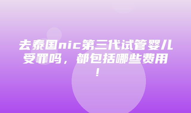 去泰国nic第三代试管婴儿受罪吗，都包括哪些费用！