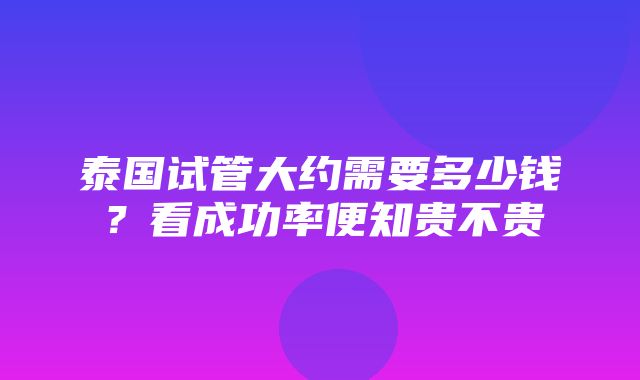 泰国试管大约需要多少钱？看成功率便知贵不贵