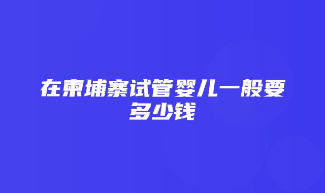 在柬埔寨试管婴儿一般要多少钱