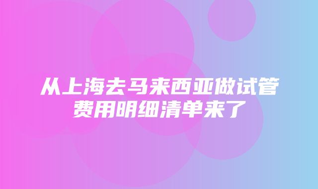 从上海去马来西亚做试管费用明细清单来了