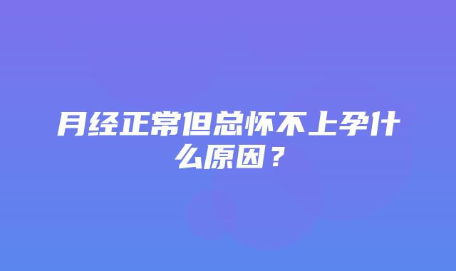 月经正常但总怀不上孕什么原因？