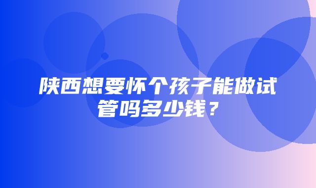 陕西想要怀个孩子能做试管吗多少钱？