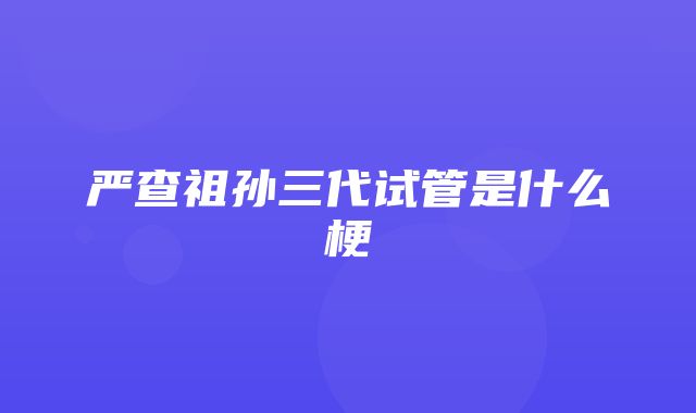 严查祖孙三代试管是什么梗