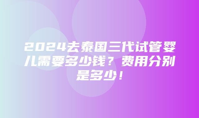 2024去泰国三代试管婴儿需要多少钱？费用分别是多少！