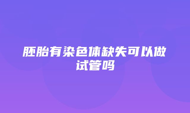 胚胎有染色体缺失可以做试管吗