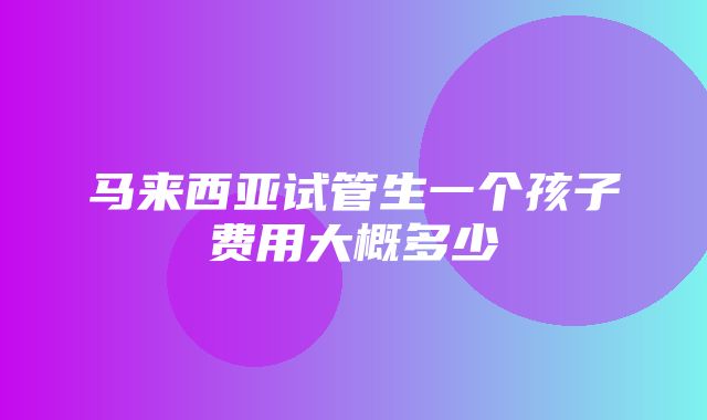 马来西亚试管生一个孩子费用大概多少