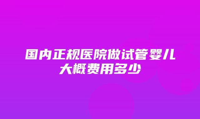 国内正规医院做试管婴儿大概费用多少