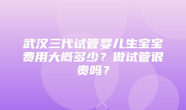 武汉三代试管婴儿生宝宝费用大概多少？做试管很贵吗？