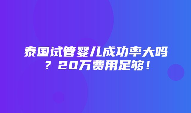 泰国试管婴儿成功率大吗？20万费用足够！