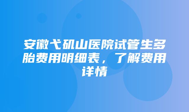 安徽弋矶山医院试管生多胎费用明细表，了解费用详情