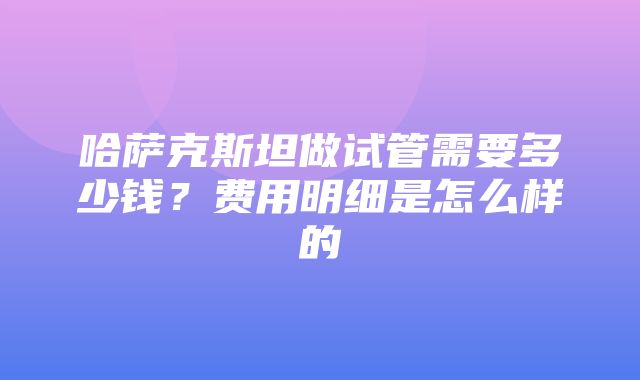 哈萨克斯坦做试管需要多少钱？费用明细是怎么样的