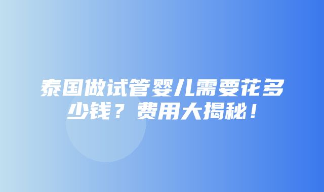 泰国做试管婴儿需要花多少钱？费用大揭秘！