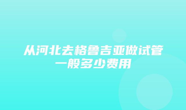 从河北去格鲁吉亚做试管一般多少费用