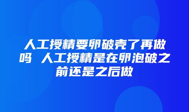 人工授精要卵破壳了再做吗 人工授精是在卵泡破之前还是之后做