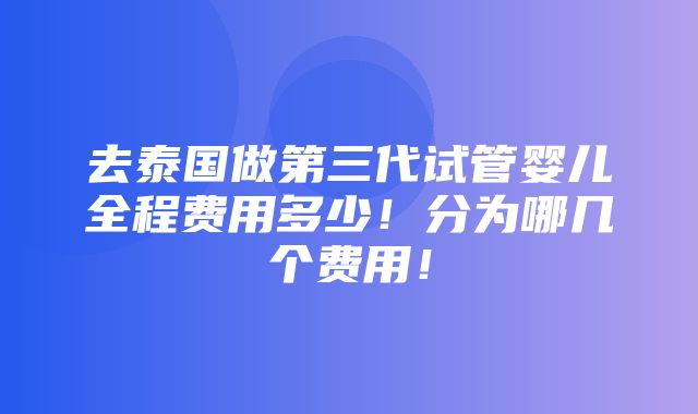 去泰国做第三代试管婴儿全程费用多少！分为哪几个费用！