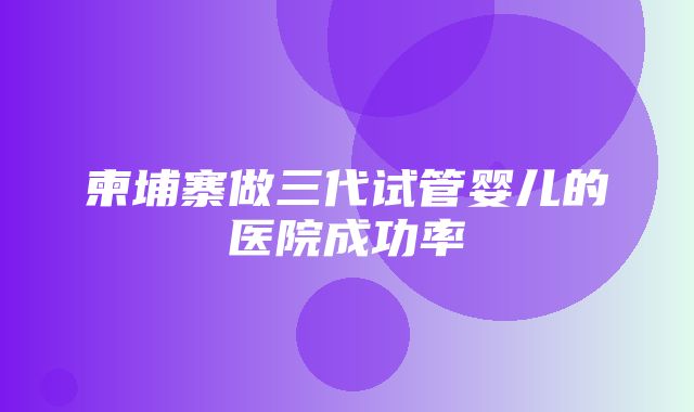 柬埔寨做三代试管婴儿的医院成功率