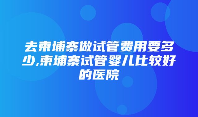 去柬埔寨做试管费用要多少,柬埔寨试管婴儿比较好的医院