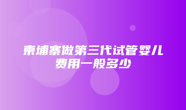 柬埔寨做第三代试管婴儿费用一般多少