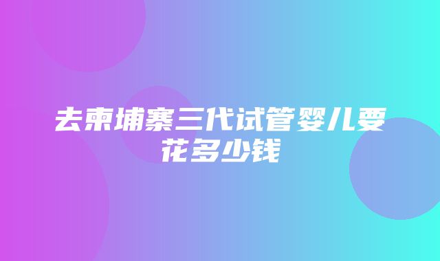 去柬埔寨三代试管婴儿要花多少钱