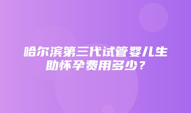 哈尔滨第三代试管婴儿生助怀孕费用多少？