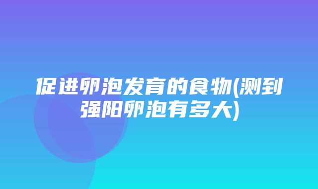 促进卵泡发育的食物(测到强阳卵泡有多大)