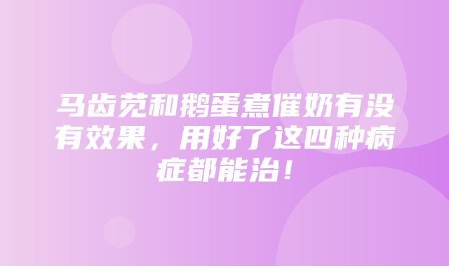 马齿苋和鹅蛋煮催奶有没有效果，用好了这四种病症都能治！