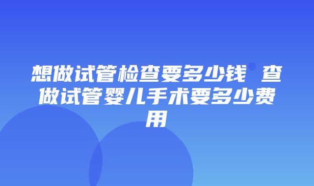 想做试管检查要多少钱 查做试管婴儿手术要多少费用