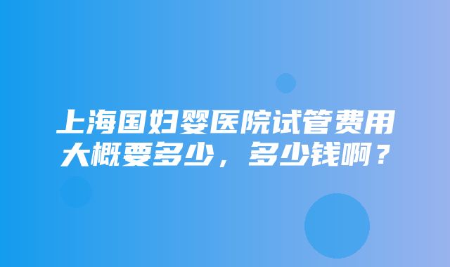 上海国妇婴医院试管费用大概要多少，多少钱啊？