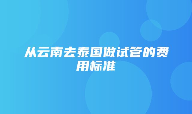 从云南去泰国做试管的费用标准