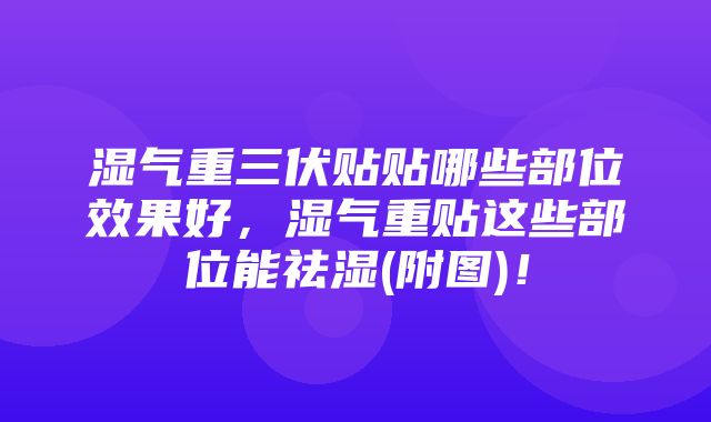 湿气重三伏贴贴哪些部位效果好，湿气重贴这些部位能祛湿(附图)！