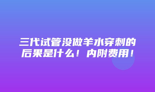 三代试管没做羊水穿刺的后果是什么！内附费用！