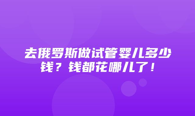 去俄罗斯做试管婴儿多少钱？钱都花哪儿了！