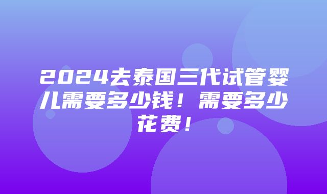 2024去泰国三代试管婴儿需要多少钱！需要多少花费！