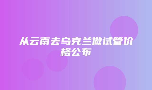 从云南去乌克兰做试管价格公布