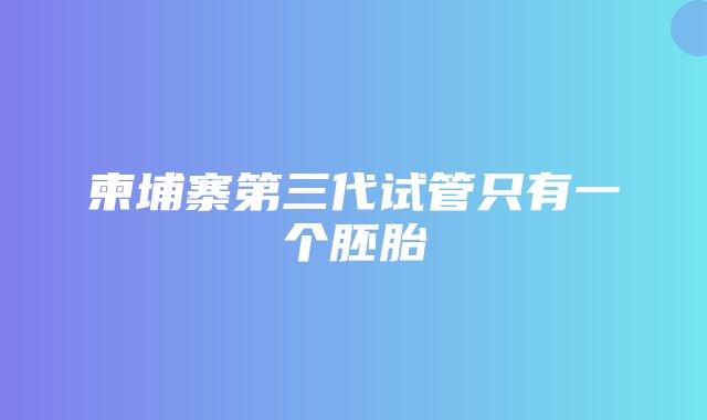 柬埔寨第三代试管只有一个胚胎