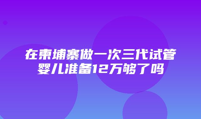 在柬埔寨做一次三代试管婴儿准备12万够了吗