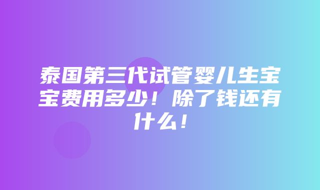 泰国第三代试管婴儿生宝宝费用多少！除了钱还有什么！