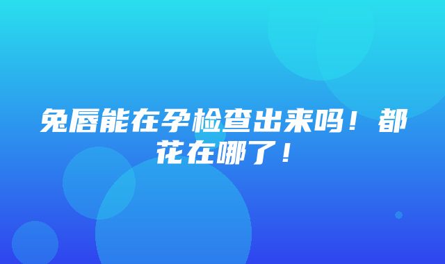 兔唇能在孕检查出来吗！都花在哪了！