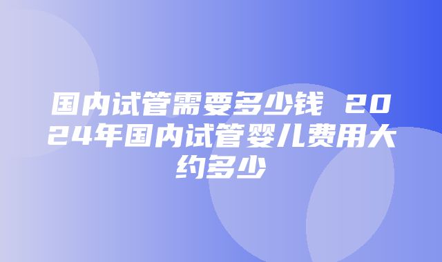 国内试管需要多少钱 2024年国内试管婴儿费用大约多少