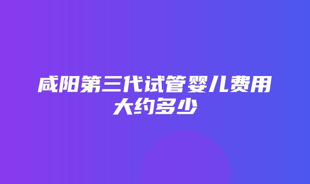 咸阳第三代试管婴儿费用大约多少