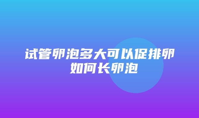 试管卵泡多大可以促排卵 如何长卵泡