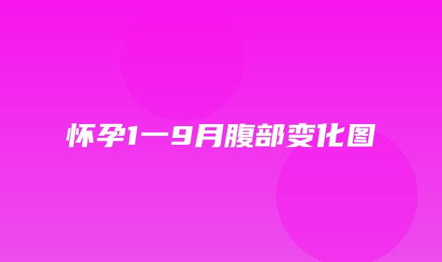 怀孕1一9月腹部变化图