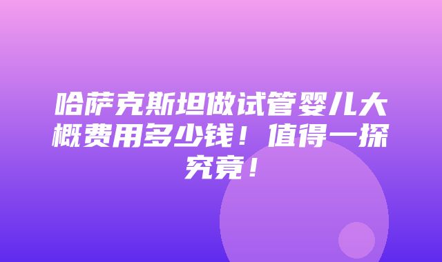 哈萨克斯坦做试管婴儿大概费用多少钱！值得一探究竟！