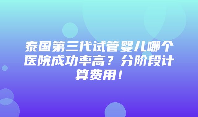 泰国第三代试管婴儿哪个医院成功率高？分阶段计算费用！