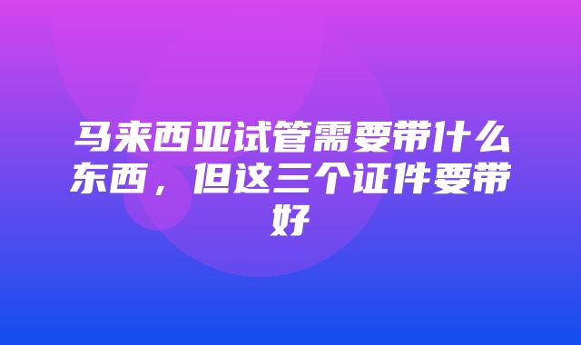 马来西亚试管需要带什么东西，但这三个证件要带好